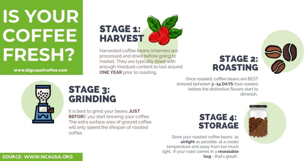 Fresh Coffee Infographic