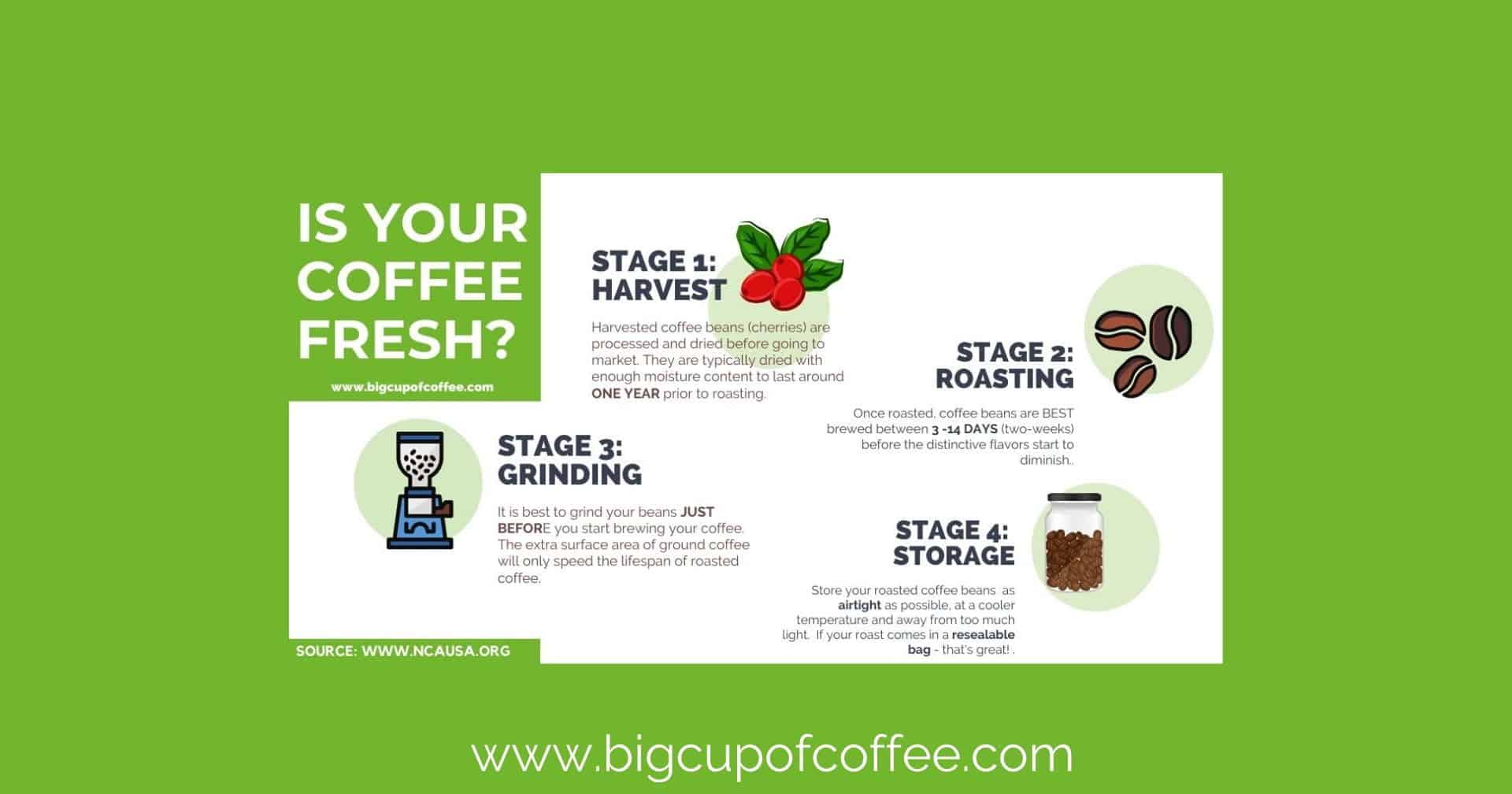 Does Coffee Go Bad? Fresh Coffee Tips