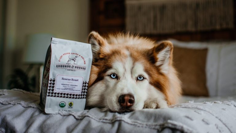 Grounds and Hounds Coffee: Excellent Coffee with a Furry Filled Social Purpose