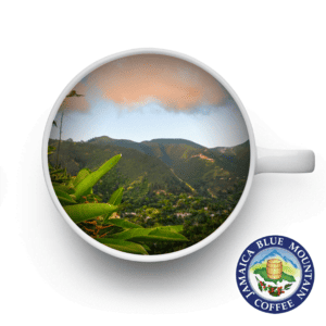 Volcanica Jamaica Blue Mountain Coffees