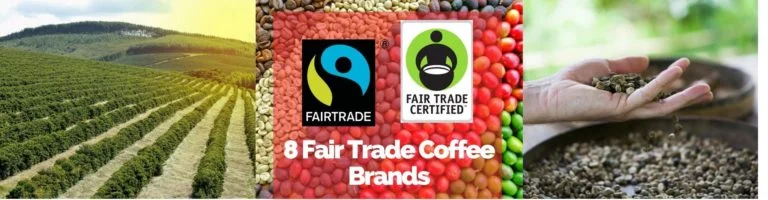 8 Fair Trade Coffee Brands that Support Social and Environmental Efforts