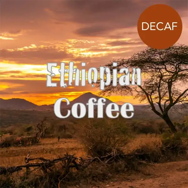 Ethiopian Yirgacheffe Decaf Coffee -  Volcanica Coffee