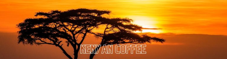 Kenyan Coffee: Everything You Need to Know