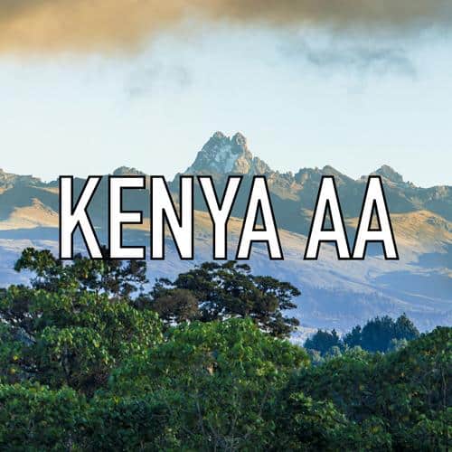 Volcanica Kenyan AA Coffee (16oz)