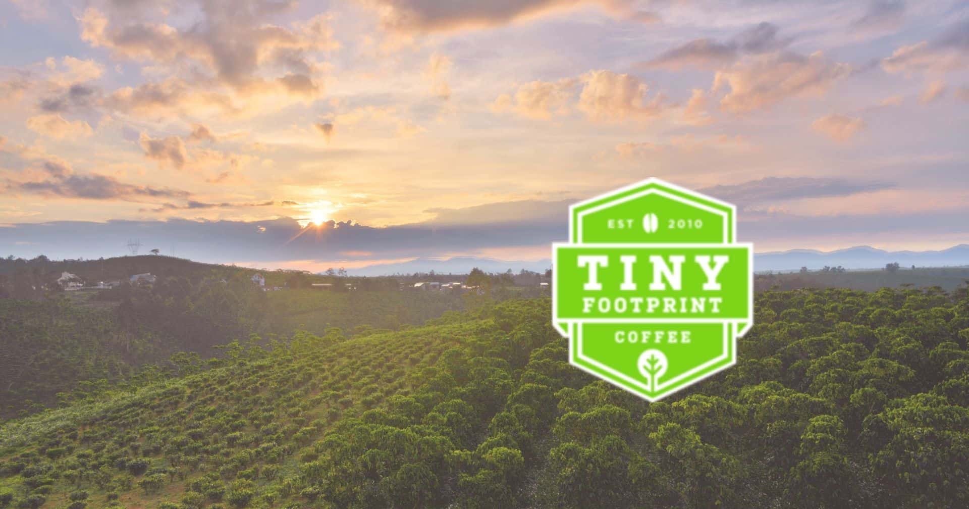 Tiny Footprint Coffee | Direct Trade Coffees | Honduras | Finca La Guadalupe |