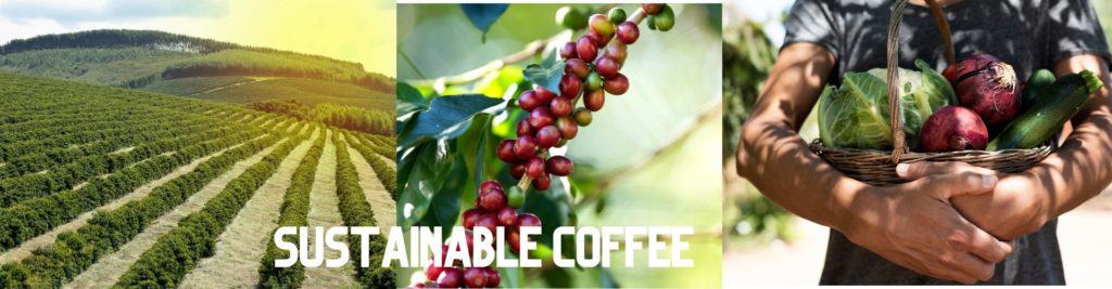 sustainable coffee banner image