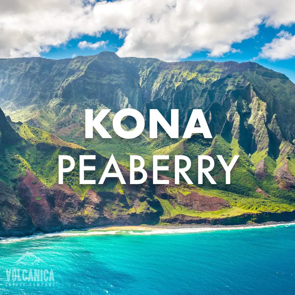 Volcanica 100% Pure Kona Peaberry Coffee