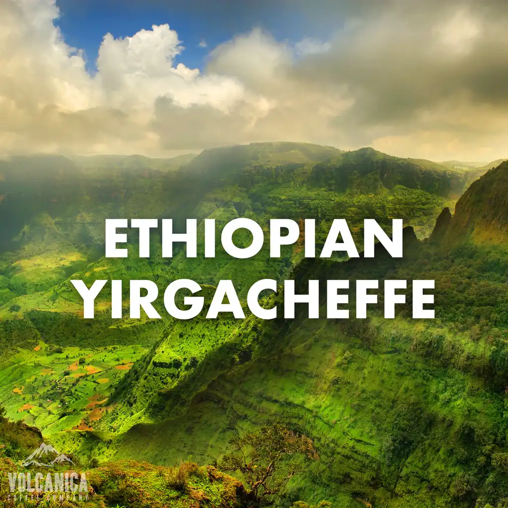 Volcanica - Ethiopian Yirgacheffe Coffee, Organic