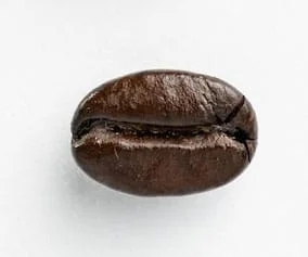 Dark Roast Coffee Bean