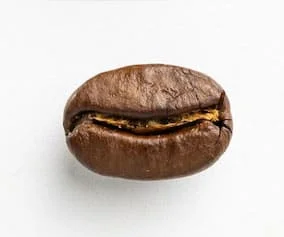 Medium Roast Coffee Bean