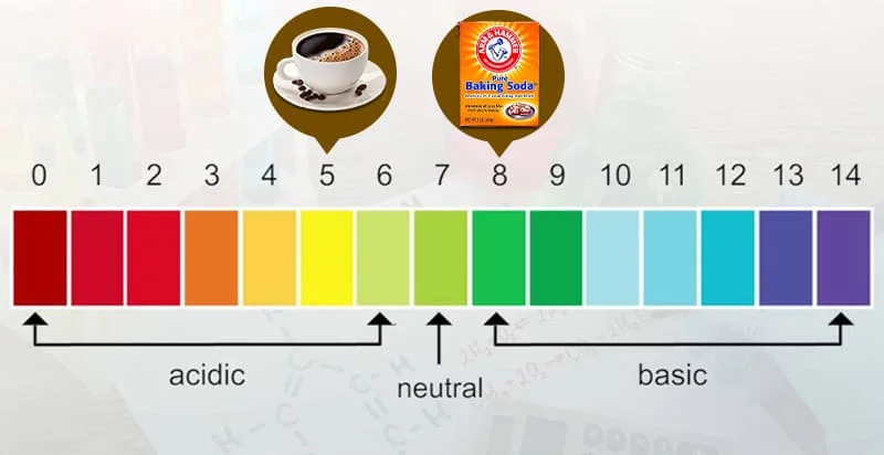 Acidic Scale