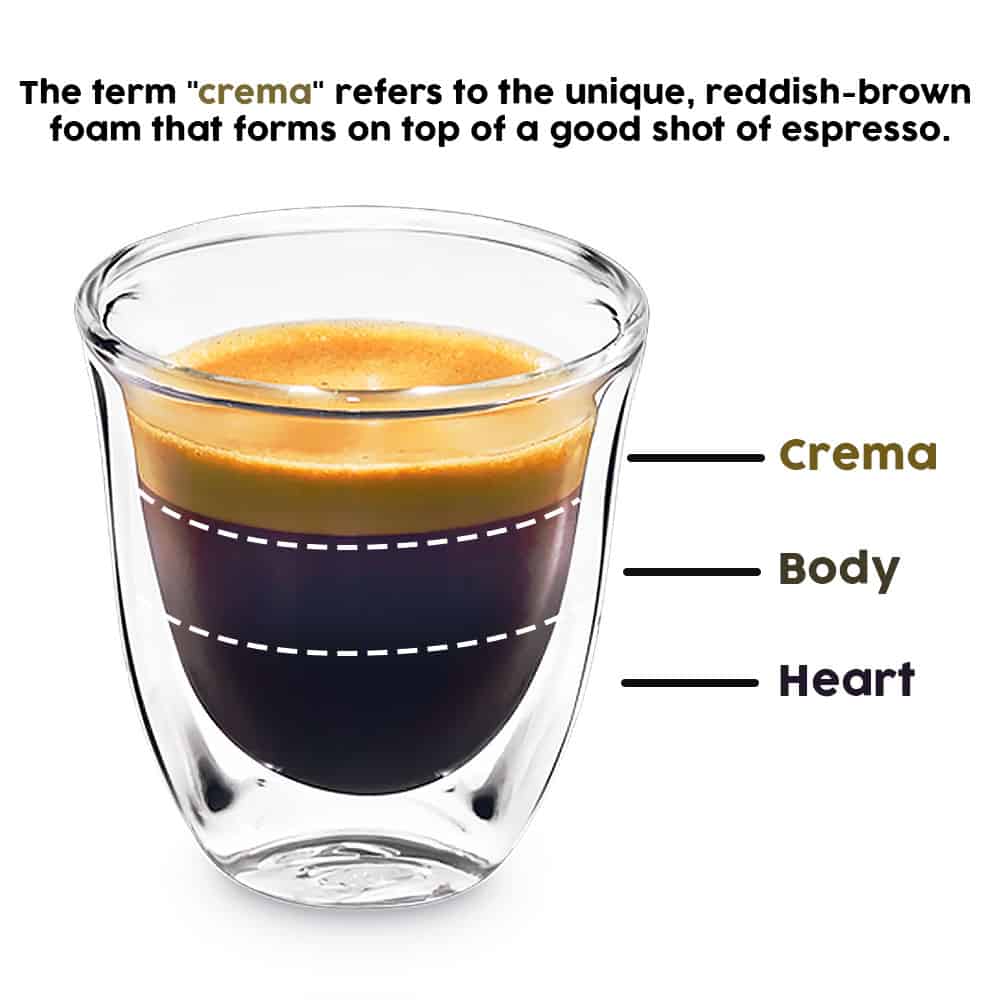 Espresso Bilgi Grafiği 2