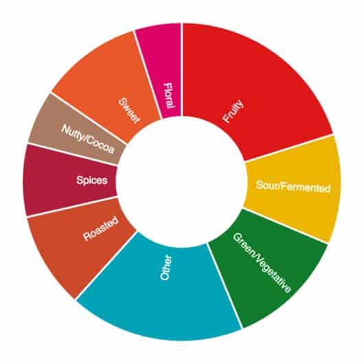 Unlock The Secrets Of The Coffee Flavor Wheel In 5 Steps