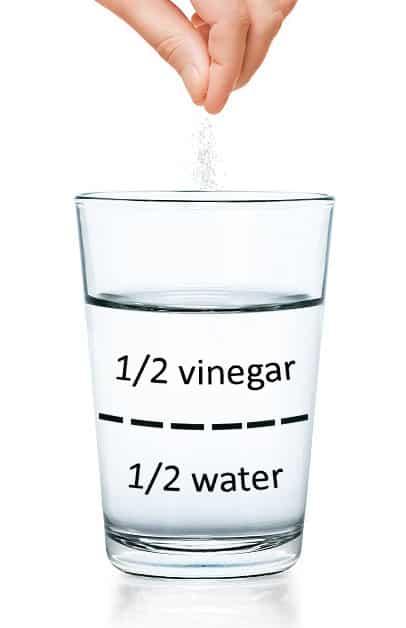 Half Vinegar Half Water Salt Descale Solution