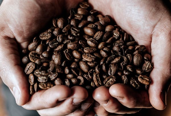 Hands Cupping Coffee Beans