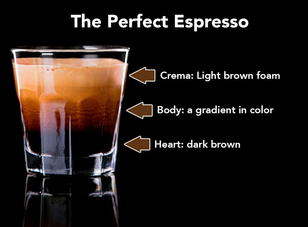 An Espresso Shot Depends on its Top Layer of Cream. How to make it perfect?, by Omma Mira