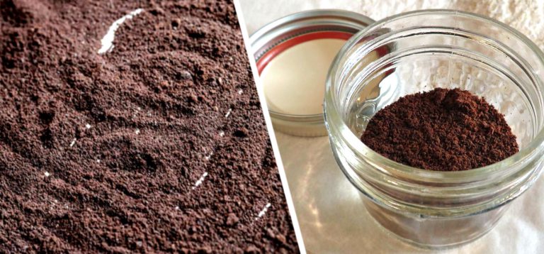 What is Espresso Powder – Is It For Brewing or Baking?