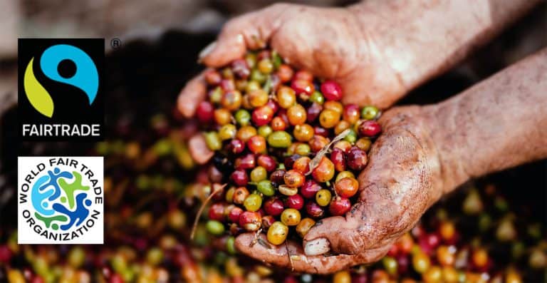 20 Fair Trade Coffee Facts To Think About in 2023