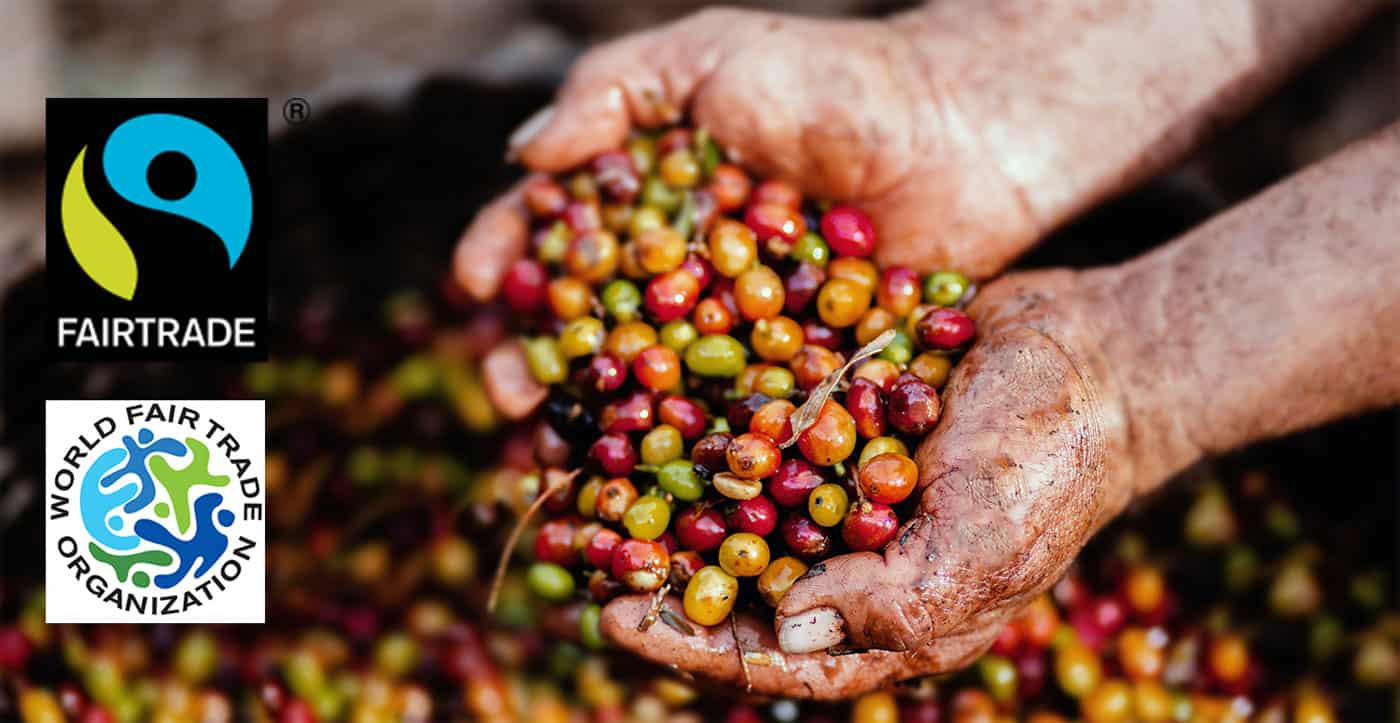Fair Trade Coffee Facts Statistics Featured